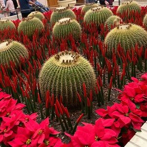 Meet your Posher, Mahmoud